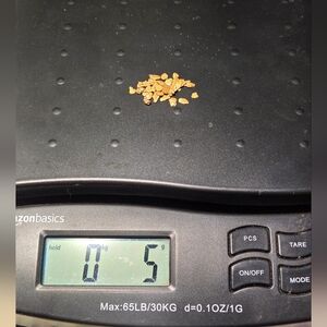 Hand panned 5g Alaskan gold nuggets ...24130